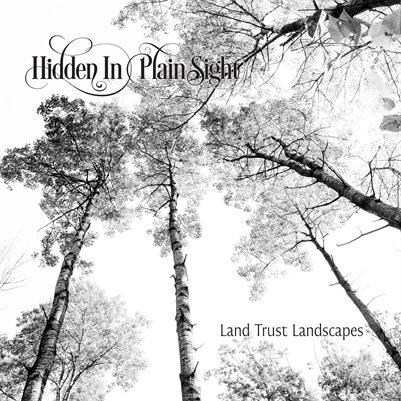 Hidden In Plain Sight