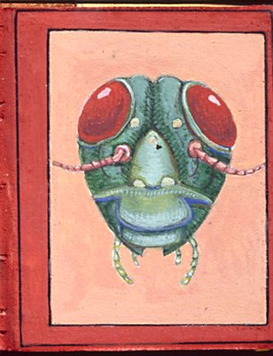 David Beck Bug Book Placemat Collection 2