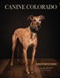 Canine Colorado: Greyhounds!