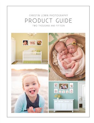 Christin Lewin 2015 Client Guide