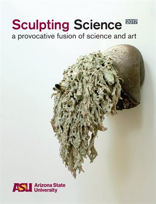 Sculpting Science 2017