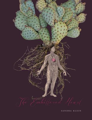 New Publication (50)