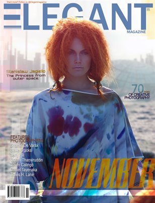 Open Issue (Nov 2013)