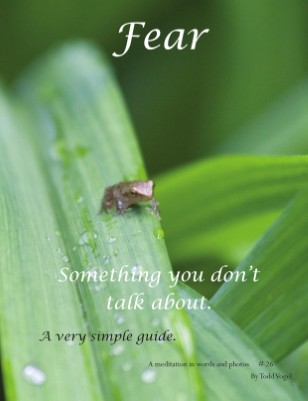 Publication preview