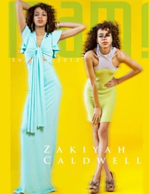 Publication preview