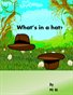 what is in a hat