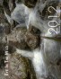 Eye In The Wild 2012 Calendar