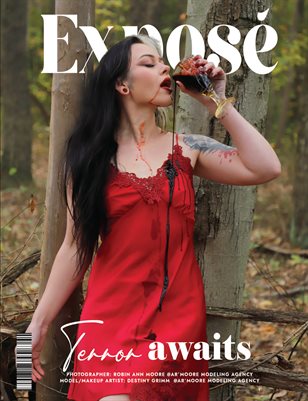 2_NOVEMBER_1C_ISSUE_FANTASY2