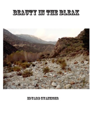 New Publication (3)