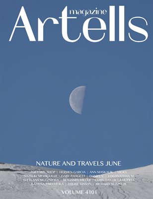 Publication preview