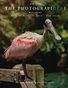 Best of Wildlife 2025 | May 2026