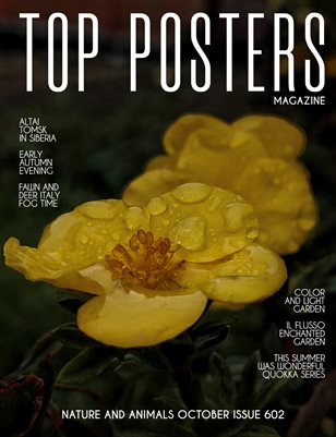 TOP POSTERS MAGAZINE - NATURE AND ANIMALS OCTOBER (Vol 602)