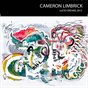 Cameron Limbrick Catalog 2015
