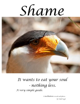 Shame - it wants to eat your soul