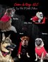 Couture La Rouge VIP Pet Models