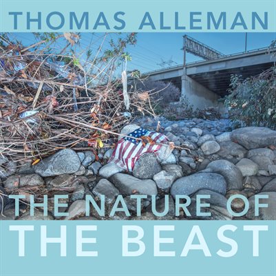 New Publication (19)