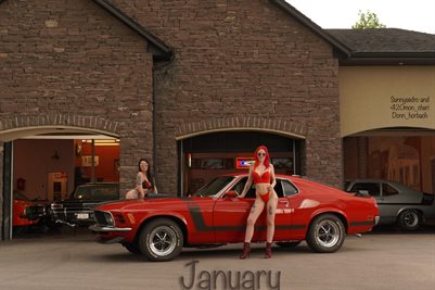 SunnySedro 12 x 18 January 2021 Poster