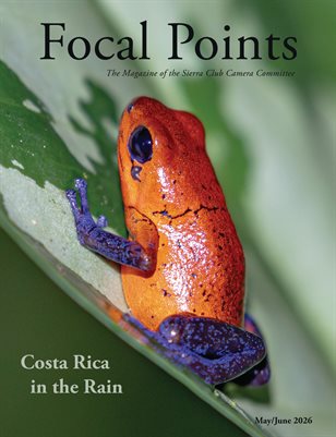 Focal Points May-June 2026
