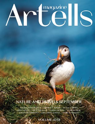 Publication preview
