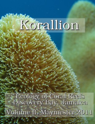 Korallion - Maymester 2011