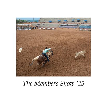 The Members Show '25
