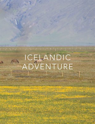 Icelandic Adventure