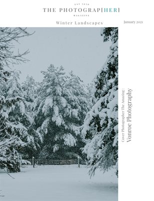 Winter Landscapes | January 2021