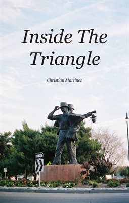 Inside The Triangle