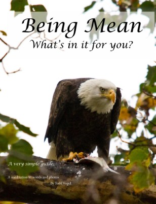 Being Mean - what's in it for you?