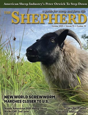 The Shepherd October 2025