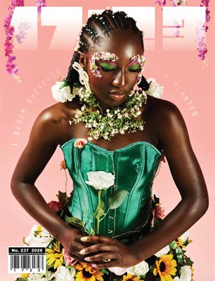 Publication preview