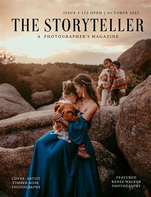 The Storyteller Magazine Issue # 113 OPEN