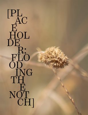 [PLACEHOLDER: FLOODING THE NOTCH]