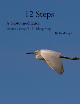 Publication preview