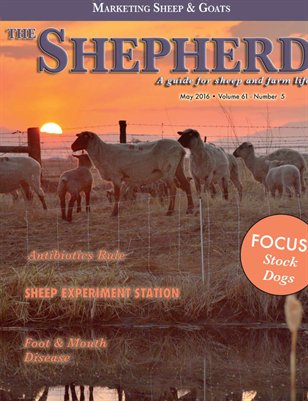 The Shepherd May 2016