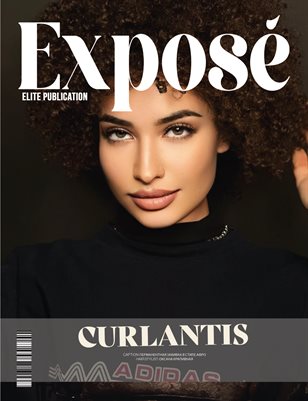 Publication preview