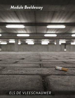 Els De Vleeschauwer beeldessay 2013