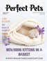 Perfect Pets Magazine - March 2024: The Pet Portrait Edition Issue 3