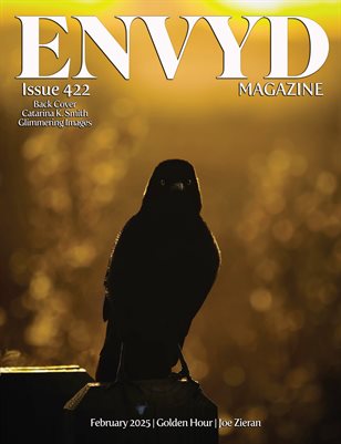 ENVYD Magazine Issue 422 February Golden Hour