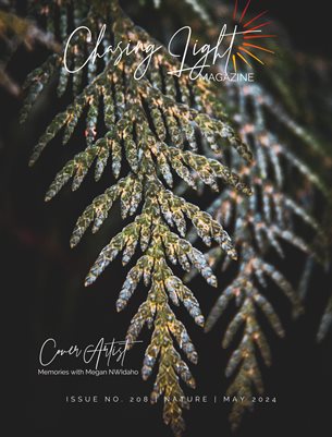 Chasing Light | Issue 208 | Nature