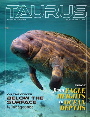 Publication preview