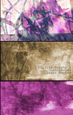Digital Beauty 2 : Landskapez