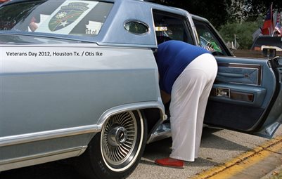 Veterans Day 2012 Houston Tx. by Otis Ike