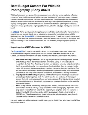 Best Budget Camera For WildLife Photography | Sony A6400