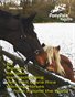 February 2016 Pony Pals Magazine -- Volume 5 #9