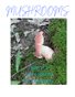 Mushrooms 
