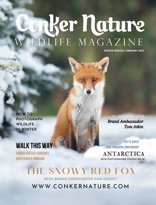 CONKER NATURE MAGAZINE | WINTER | FEBRUARY 2023 | VOL XIX | ISSUE I