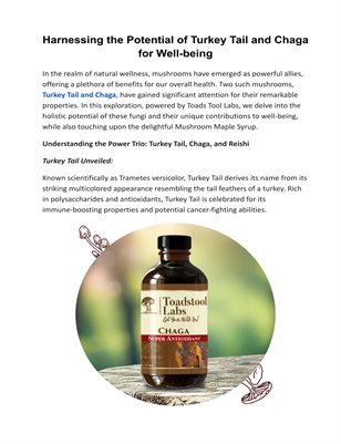 Harnessing Lion's Mane: Blood Sugar Management Solutions