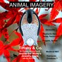 Animal Imagery fall 2012