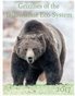 2017 Grizzlies of the Yellowstone Eco System Calendar